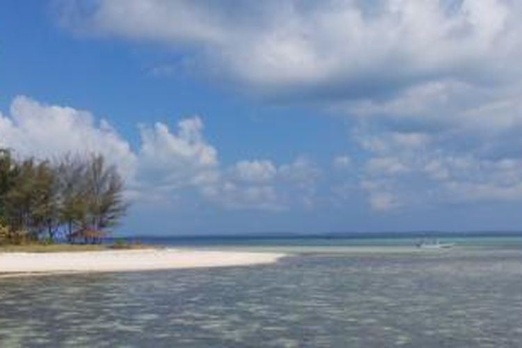 Pulau Hoga, Taman Nasional Laut Wakatobi, Sulawesi Tenggara, Sabtu (12/10/2013).