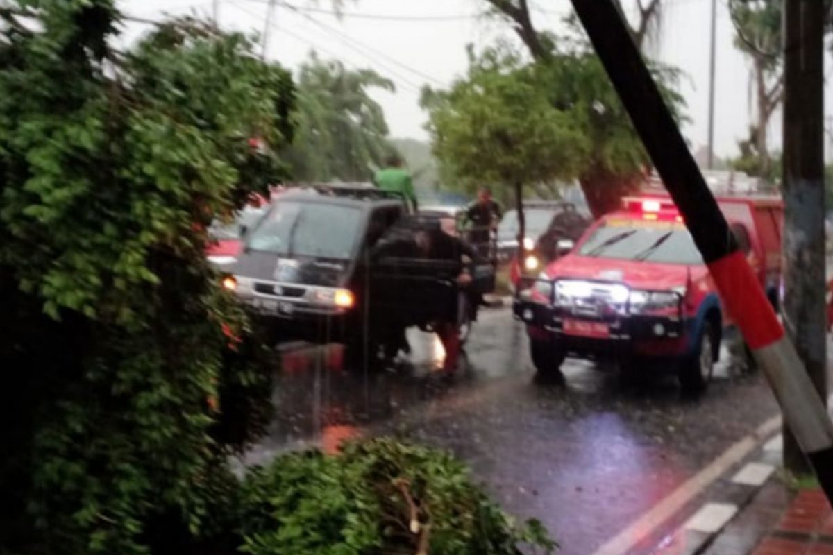 Pohon tumbang akibat hujan deras dan angin kencang di Jatinegara Kaum, Pulogadung, Jakarta Timur, Jumat (23/11/2018)