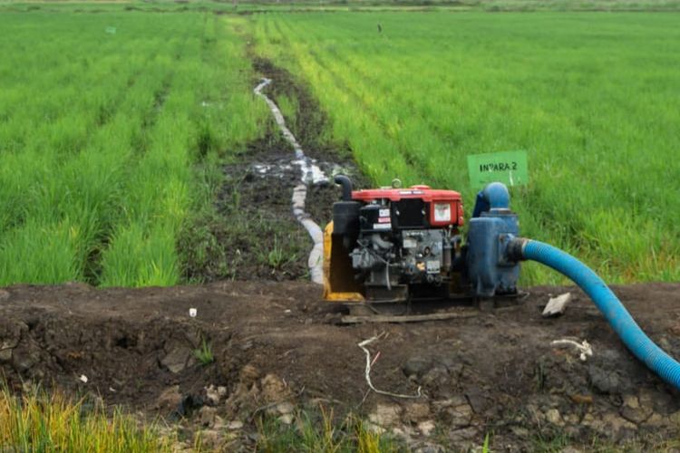 Kementerian Pertanian (Kementan) mengantisipasi musim kemarau melalui pembangunan infrastruktur air.

