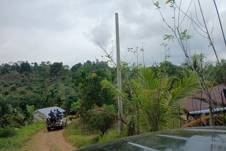 Tiang listrik terpasang di jalan menuju kawasan transmigran Desa Batu Ampar, Kedurang, Bengkulu Selatan