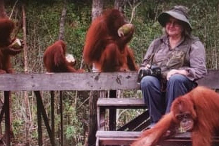 Dr. Birute Mary Galdikas bersama beberapa orangutan di Kalimantan