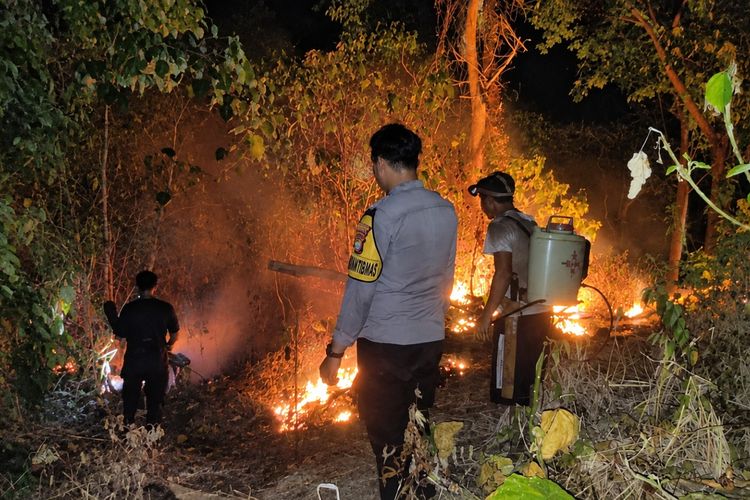 Kebun Terdampak Kebakaran Lahan di Majene, Warga Kehilangan Sumber Penghasilan