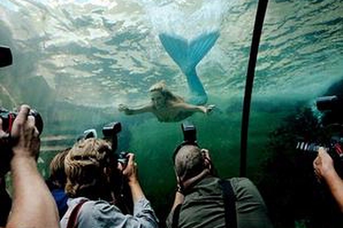 Dengan kostum puteri duyungnya, Hannah Fraser telah menjadi objek dari sejumlah pengambilan foto dan film