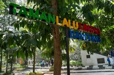 10 Aktivitas di Taman Lalu Lintas Bandung, Bisa Sepedaan