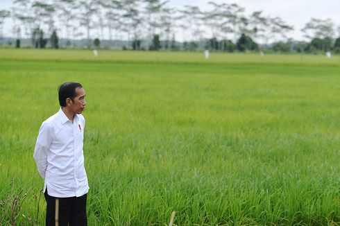 Singgung Food Estate dan Pemindahan IKN, Anggota DPR: Belum Ada Saja, Hampir Semua Kalimantan Dilanda Banjir