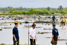 Harapan Bupati Ibrahim Ali Usai Presiden Jokowi Tanam Mangrove di Tana Tidung