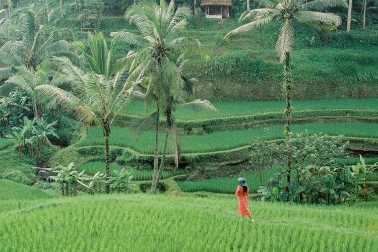 Salah Satu Destinasi 