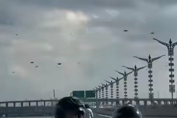 Kawanan Lebah Muncul di Tol Bali Mandara, Berikut Penjelasan BKSDA