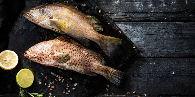 3 Cara Mudah Membersihkan Ikan Kerapu Dari Hilangkan Lendir Sampai Cabut Duri Halaman All Kompas Com