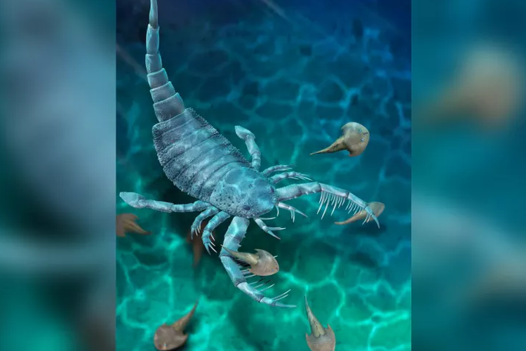 Ilustrasi kalajengking laut Terropterus xiushanensis 
