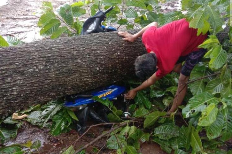 Inilah sepeda motor yang ditumpangi Sutarto (50), seorang petani asal Kecamatan Nguntoronadi, Kabupaten Wonogiri, yang meninggal tertimpa pohon tumbang, Minggu (1/2/2021)