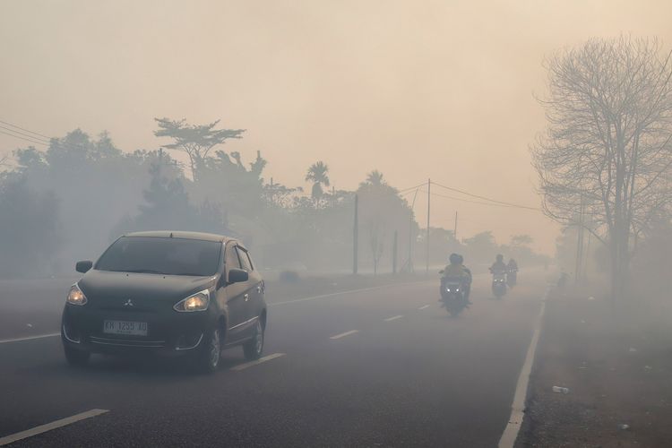 Damkar Jepang Kesulitan Padamkan Karhutla Indonesia, Asap Terlalu Pekat
