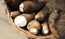 Bangkitkan Potensi Lokal, Kementan Resmikan Gelar Pangan Nusantara