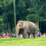 Kebun Binatang Ragunan Kedatangan 2 Penghuni Baru, Pengelola: Mereka Favorit bagi Pengunjung
