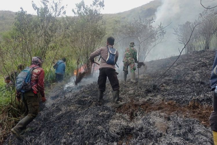 Proses pemadam kebakaran hutan dan lahan (karhutla) di kawasan gunung Arjuno, Senin (28/8/2023).