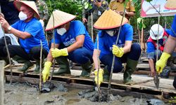 Targetkan Netral Karbon pada 2050, Indika Energy Tanam 21.000 Mangrove 