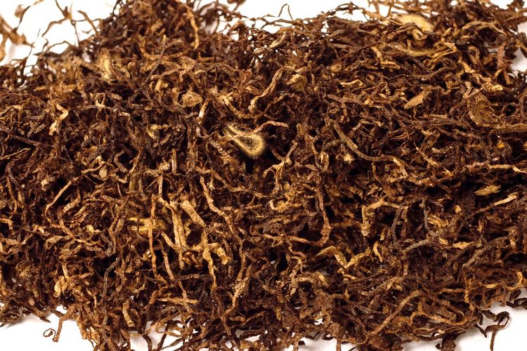 Ilustrasi daun tembakau kering.