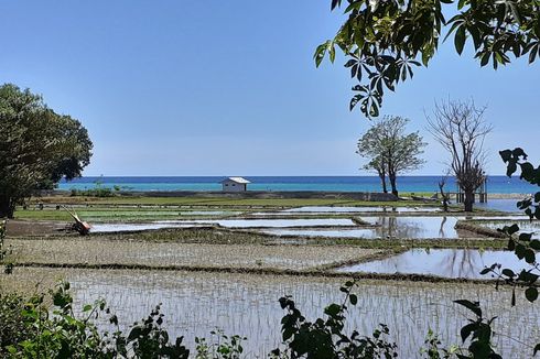 Wisata Flores, Senja di Pantai Borong dan Nangalanang Manggarai Timur