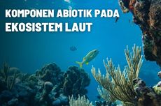 Komponen Abiotik pada Ekosistem Laut