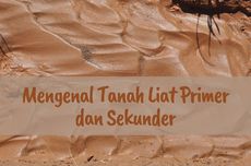 Mengenal Tanah Liat Primer dan Sekunder