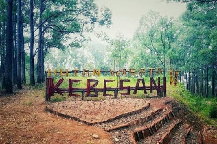 Foto: Ekowisata Hutan Kebesani, Desa Kebesani, Kecamatan Detukeli, Kabupaten Ende. 