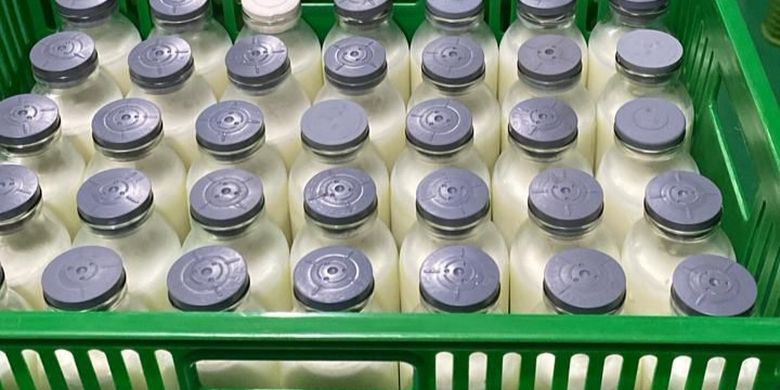 Tak Semua Wilayah Dapat Susu untuk Program Makan Bergizi Gratis, Ini Penggantinya - Kompas.com