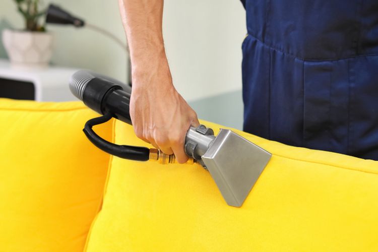 Ilustasi membersihkan bantalan sofa, Ilustrasi membersihkan sofa.