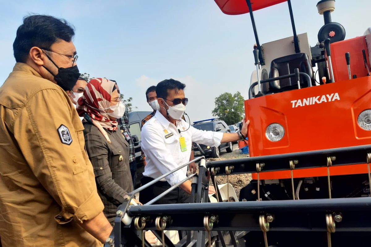 Menteri Pertanian Syahrul Yasin Limpo (Mentan SYL) saat kunjungan kerja.