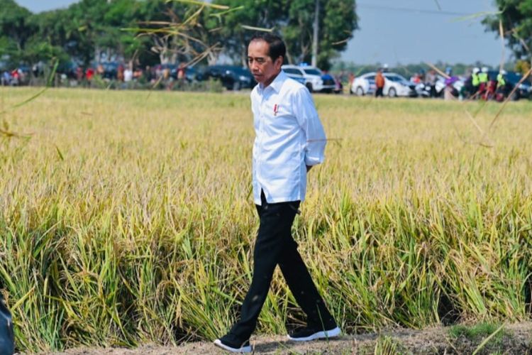 Jokowi memutuskan melakukan impor beras.