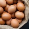 Cara Memasak Telur yang Baik agar Gizinya Tetap Terjaga