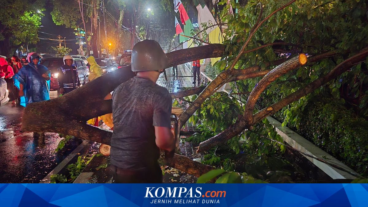 Hujan Deras di Medan, Ranting Pohon Jatuh Timpa Mobil yang Melintas