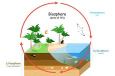 Pengertian Biosfer, serta Asal-usul dan Fungsinya