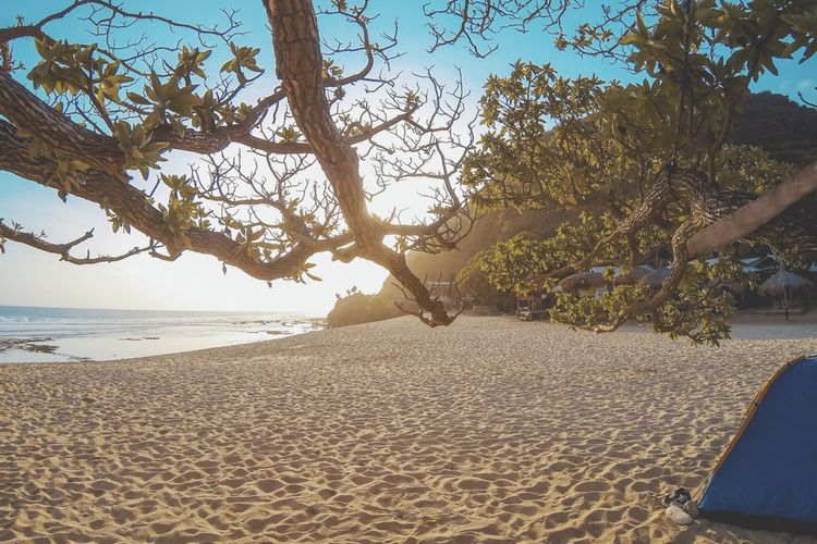 Pantai Pok Tunggal, salah satu pantai di Yogyakarta untuk melihat sunset.