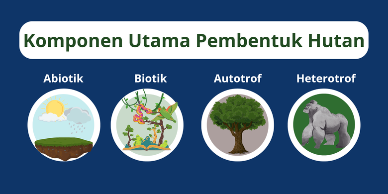 Apa Saja Ekosistem Hutan