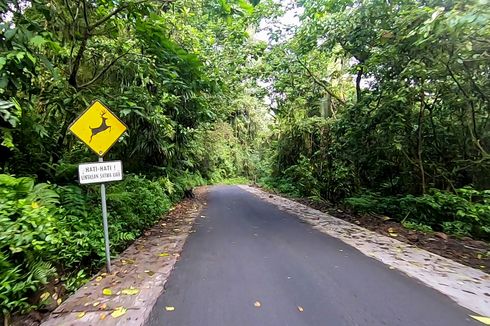 Jalur Senduro-Ranu Pani Lumajang Akan Tutup Seminggu karena Pengaspalan