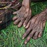 5 Suku di Papua serta Keunikannya, Salah Satunya Tradisi Potong Jari Saat Berduka