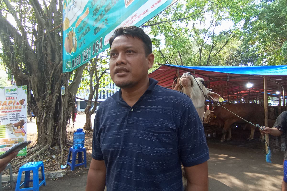 Pedagang Hewan Kurban, Faisal saat diwawancara di penampungan hewan kurban Jalan Angkasa, Kemayoran, Jakarta Pusat, Rabu (12/6/2024)