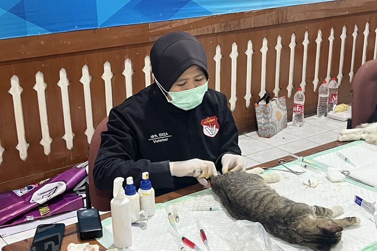 Hati-hati, Puluhan Dokter Hewan di Jaksel Tak Punya Izin Praktik