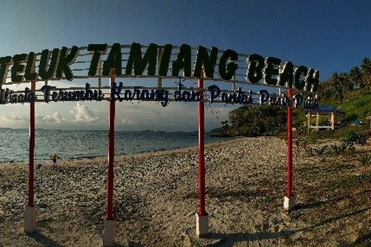 Pantai Teluk Tamiang.