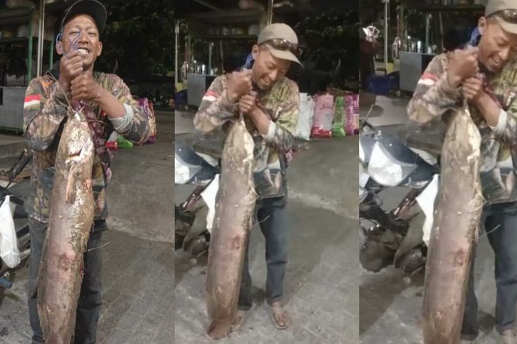 Lele Monster 13,5 Kg Gegerkan Warga Semarang, Butuh 30 Menit untuk Taklukkan