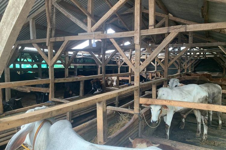 Jelang Idul Adha, Distan Kabupaten Bandung Perketat Jalur Masuk Ternak di Nagreg