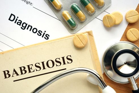 Babesiosis