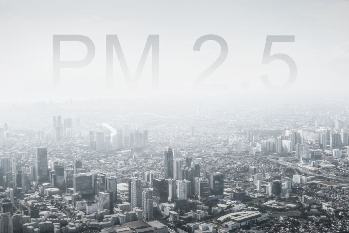 Ilustrasi PM 2.5. Partikulat matter atau PM 2.5 adalah partikel udara berukuran 2,5 mikrometer. Polutan atau sumber polusi udara ini dapat membahayakan kesehatan. 