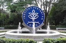 2 Pendaki Ilegal Hilang di Gunung Merapi, 1 Orang Ditemukan Lemas