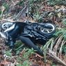 Motor yang Ditumpangi Ibu dan Anak Terjun ke Jurang di Sikka, 1 Tewas