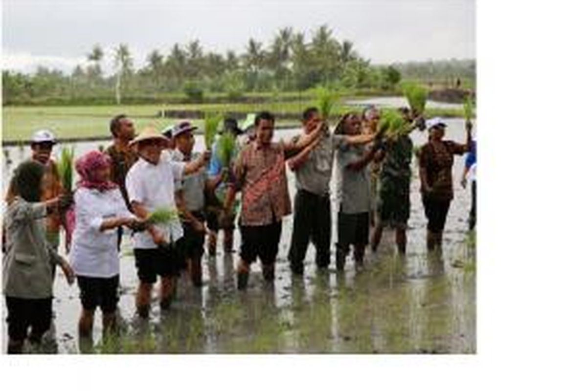 Menteri Pertanian Amran Sulaiman saat berada di NTT