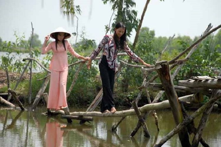 Jembatan Monyet, Vietnam.