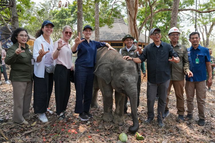 Tinjau Konservasi Gajah dan Badak Sumatera, Dubes Norwegia Keliling Way Kambas