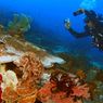 Semarakkan Sail Tidore 2022, Kementerian KP Gelar Kompetisi Fotografi Bawah Air 