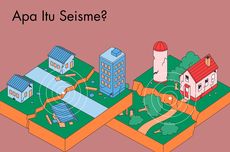 Apa Itu Seisme?